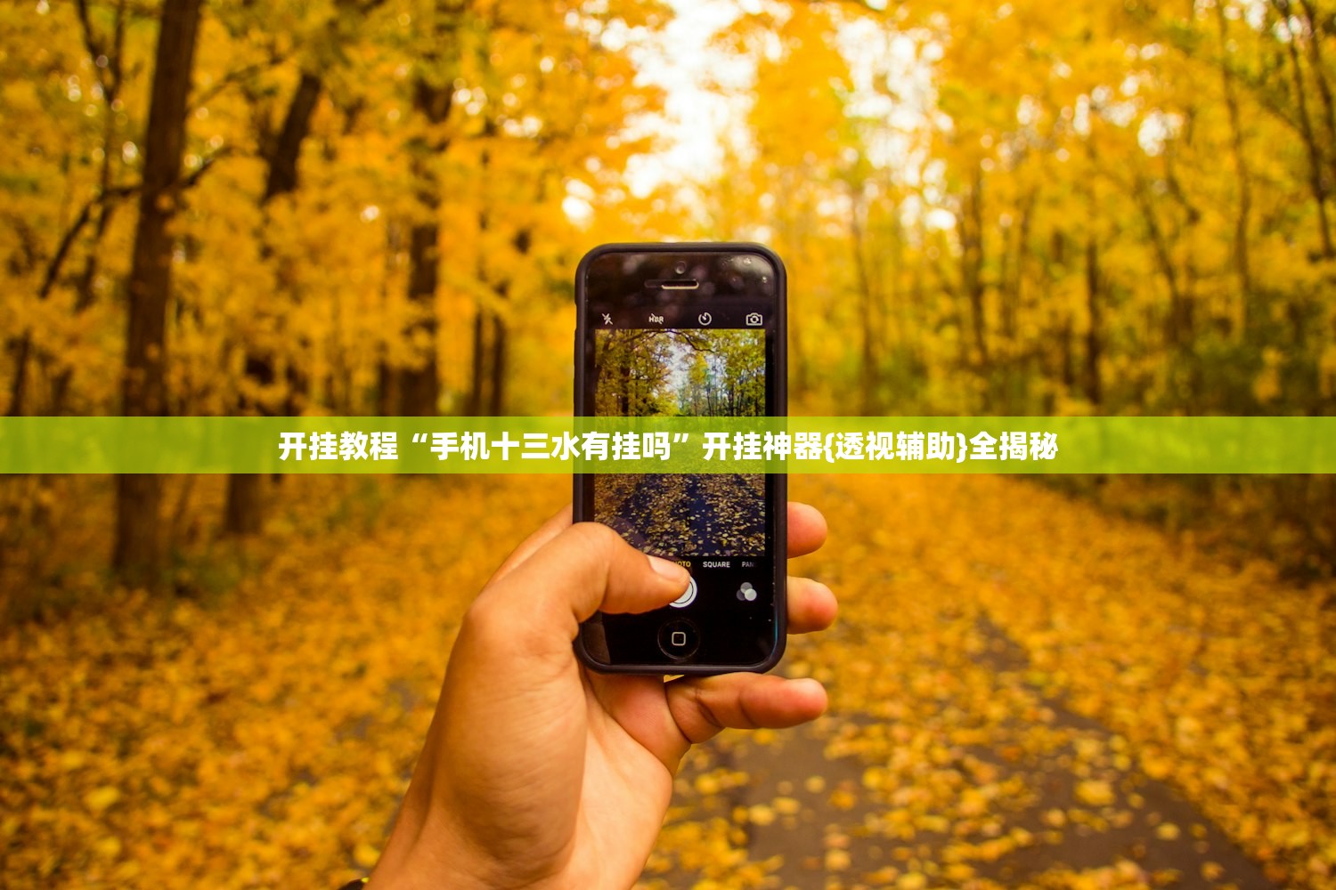 开挂教程“手机十三水有挂吗”开挂神器{透视辅助}全揭秘