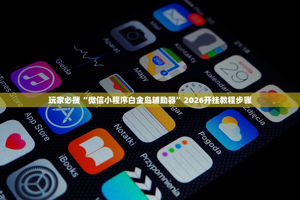玩家必搜“微信小程序白金岛辅助器”2026开挂教程步骤