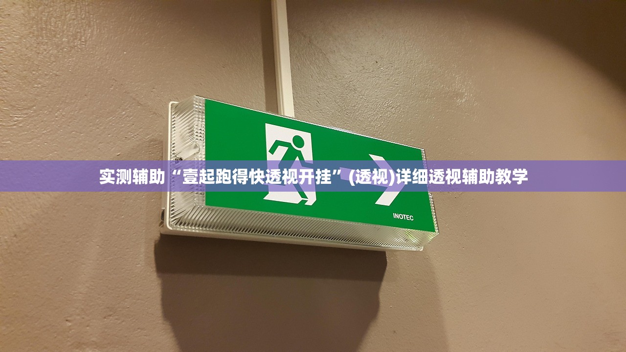 实测辅助“壹起跑得快透视开挂”(透视)详细透视辅助教学