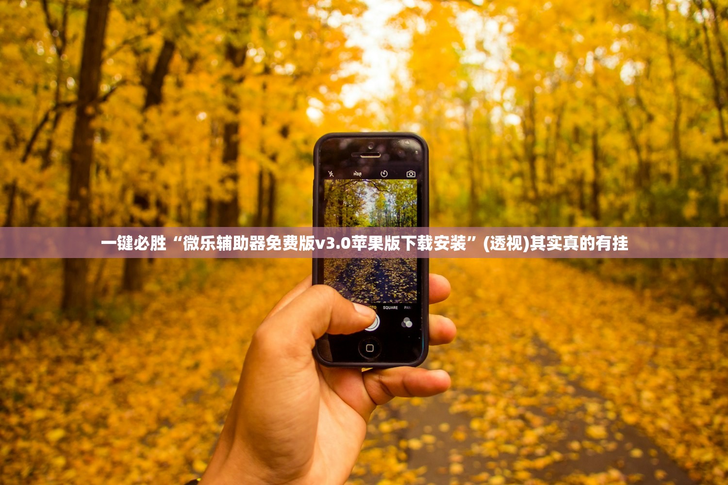 一键必胜“微乐辅助器免费版v3.0苹果版下载安装”(透视)其实真的有挂