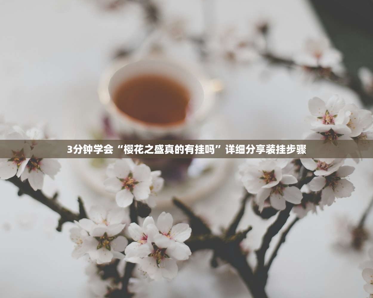 3分钟学会“樱花之盛真的有挂吗	”详细分享装挂步骤
