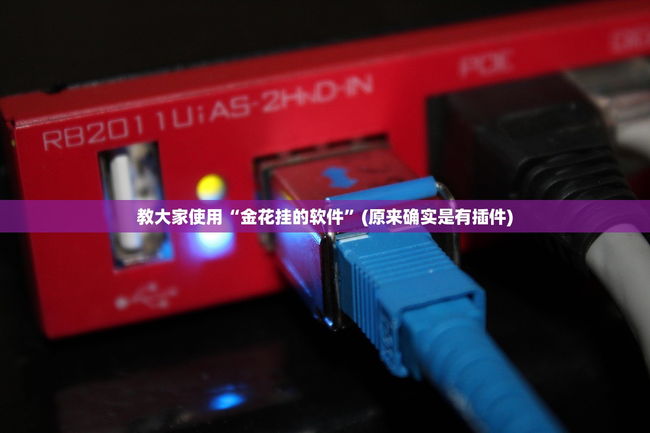 教大家使用“金花挂的软件”(原来确实是有插件)