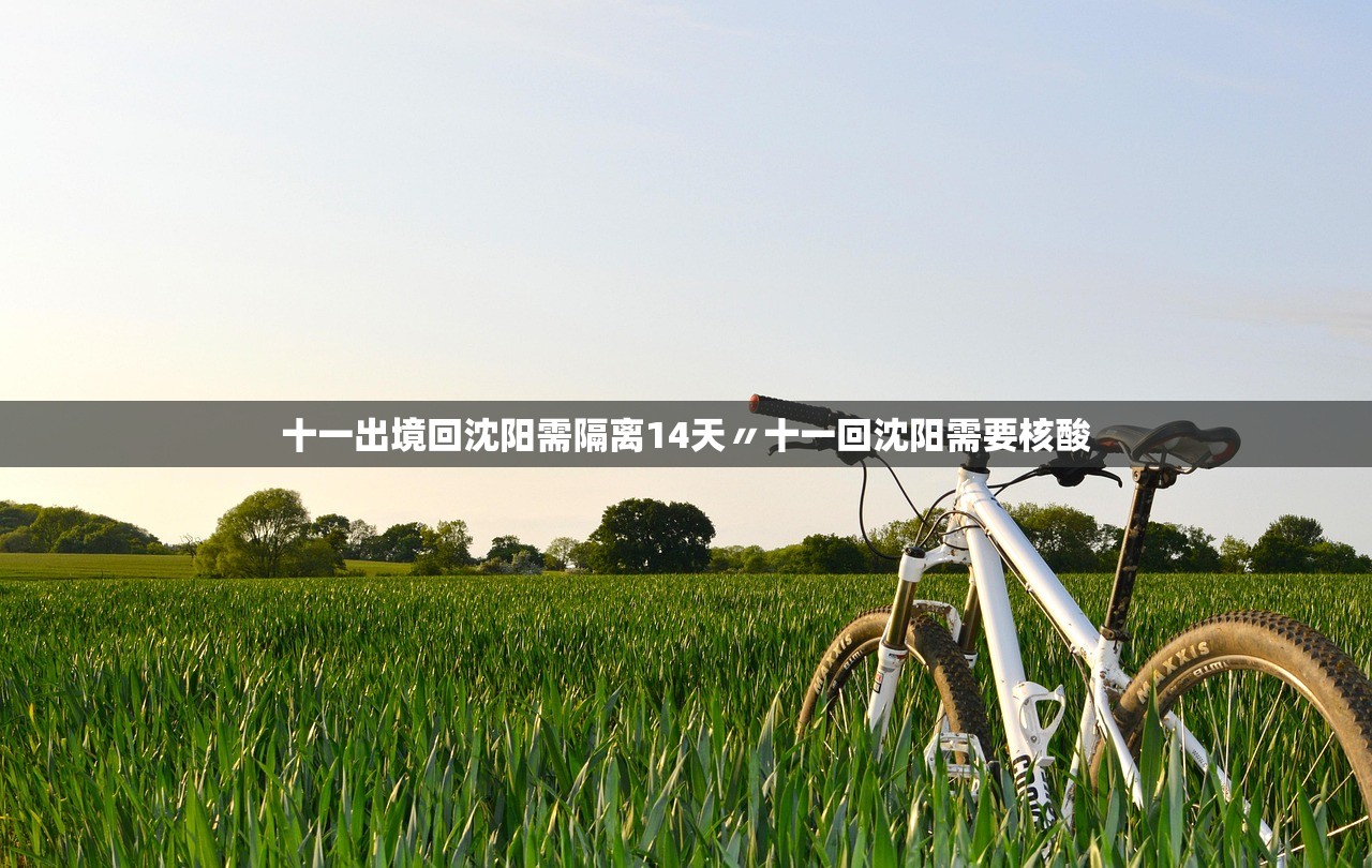 十一出境回沈阳需隔离14天〃十一回沈阳需要核酸 十一出境回沈阳需隔离14天〃十一回沈阳需要核酸