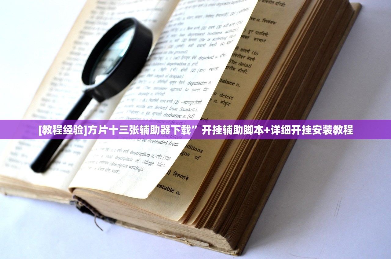 [教程经验]方片十三张辅助器下载”开挂辅助脚本+详细开挂安装教程