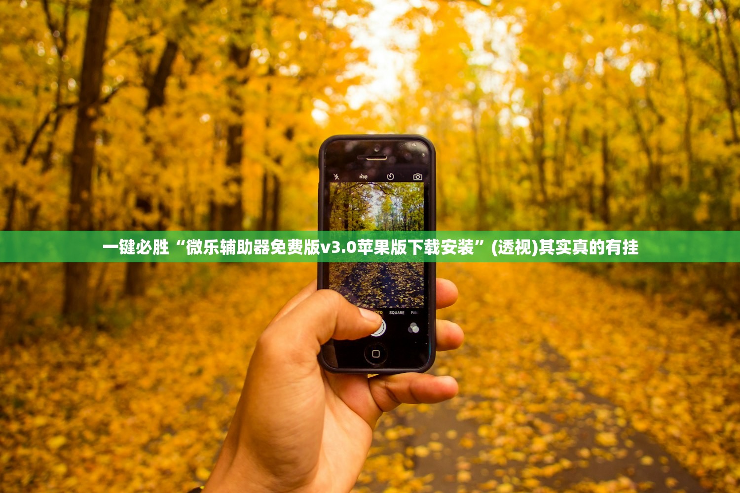 一键必胜“微乐辅助器免费版v3.0苹果版下载安装”(透视)其实真的有挂