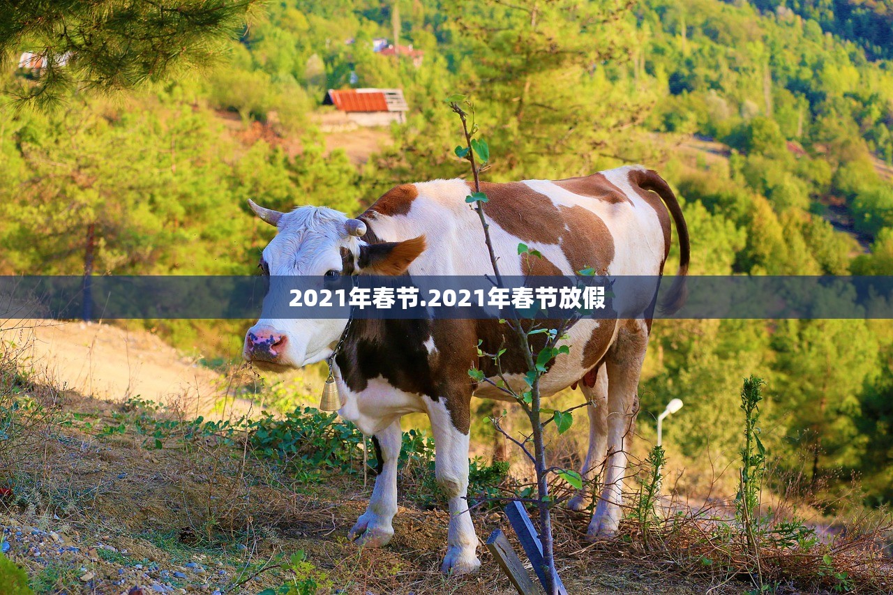 2021年春节.2021年春节放假 2021年春节.2021年春节放假
