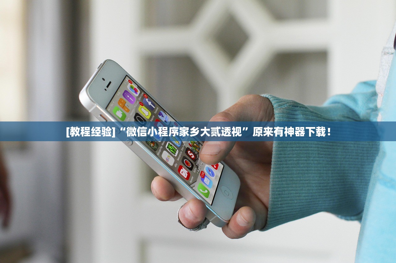 [教程经验]“微信小程序家乡大贰透视”原来有神器下载！