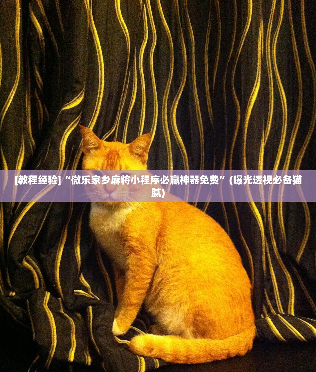 [教程经验]“微乐家乡麻将小程序必赢神器免费	”(曝光透视必备猫腻)