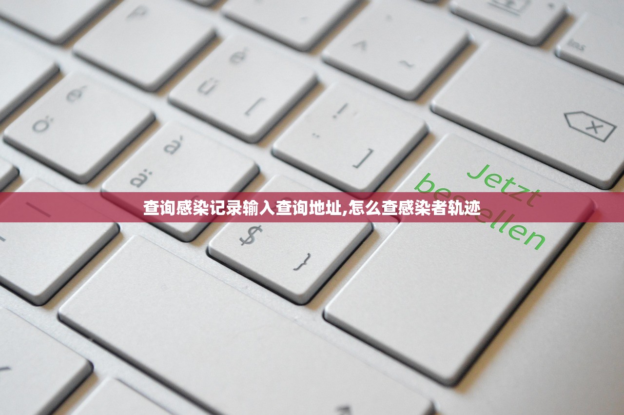 查询感染记录输入查询地址,怎么查感染者轨迹