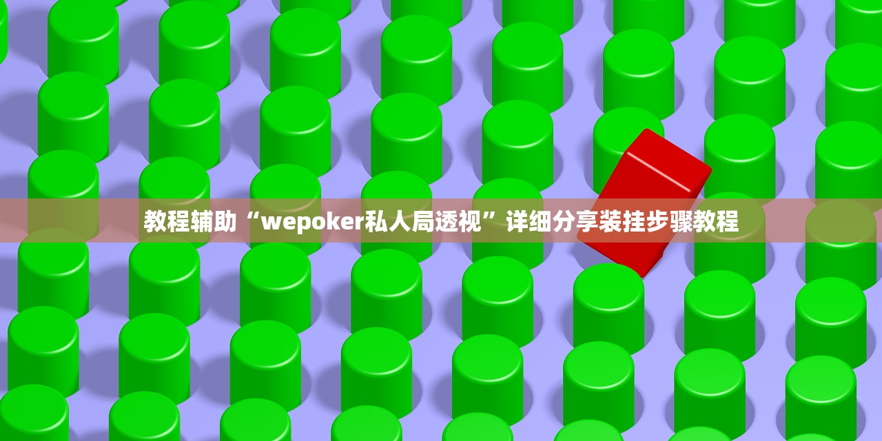教程辅助“wepoker私人局透视	”详细分享装挂步骤教程