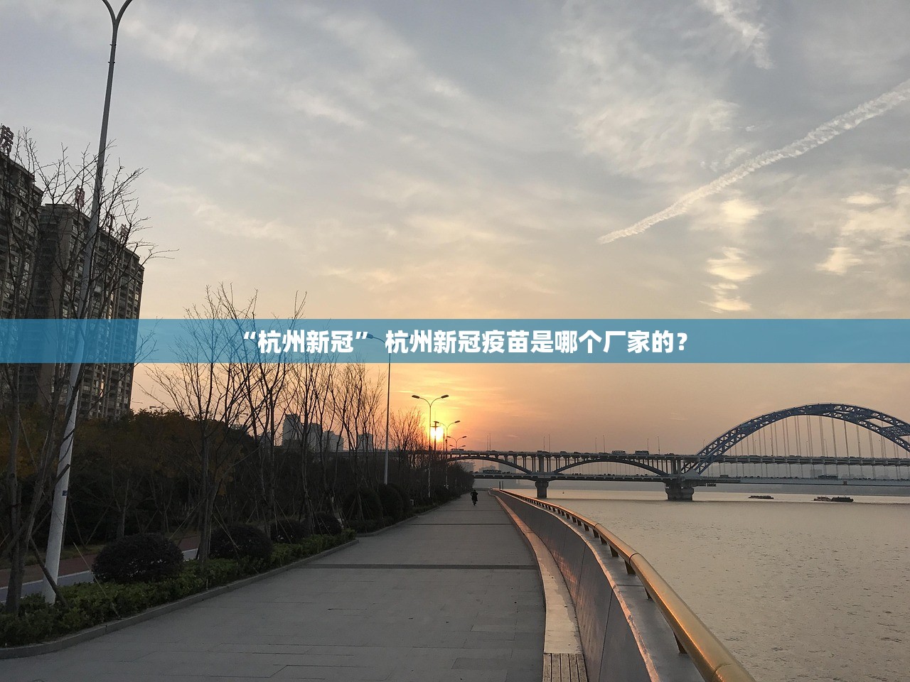 “杭州新冠	” 杭州新冠疫苗是哪个厂家的？