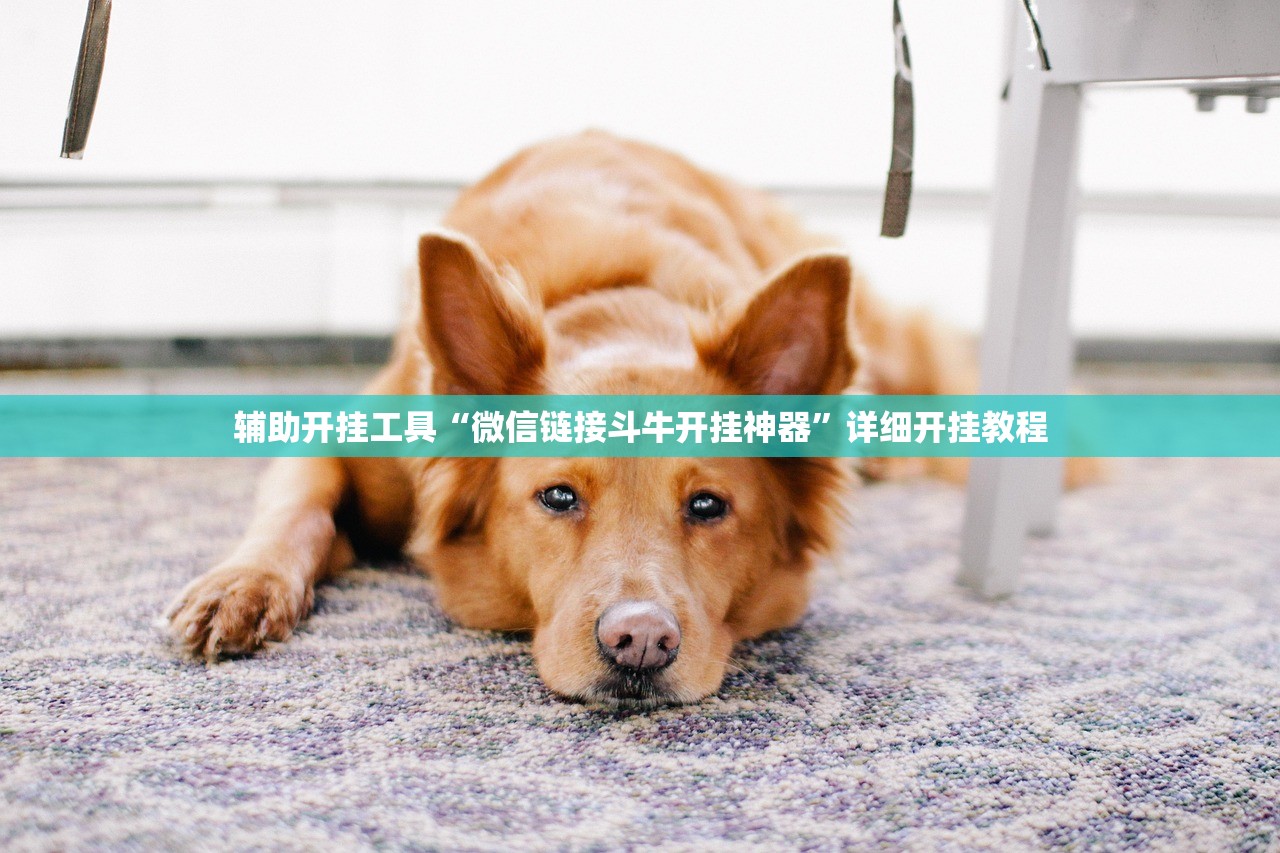 辅助开挂工具“微信链接斗牛开挂神器”详细开挂教程