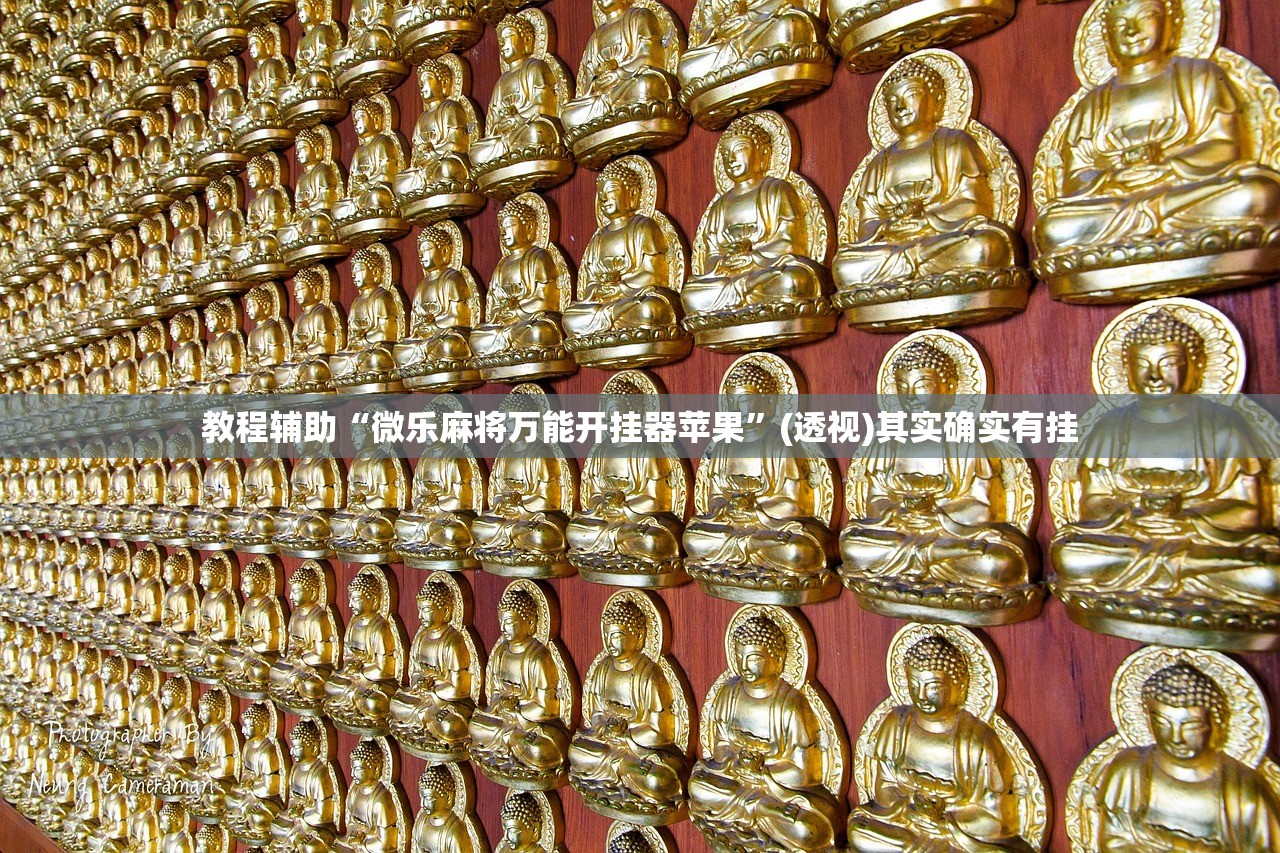 教程辅助“微乐麻将万能开挂器苹果”(透视)其实确实有挂
