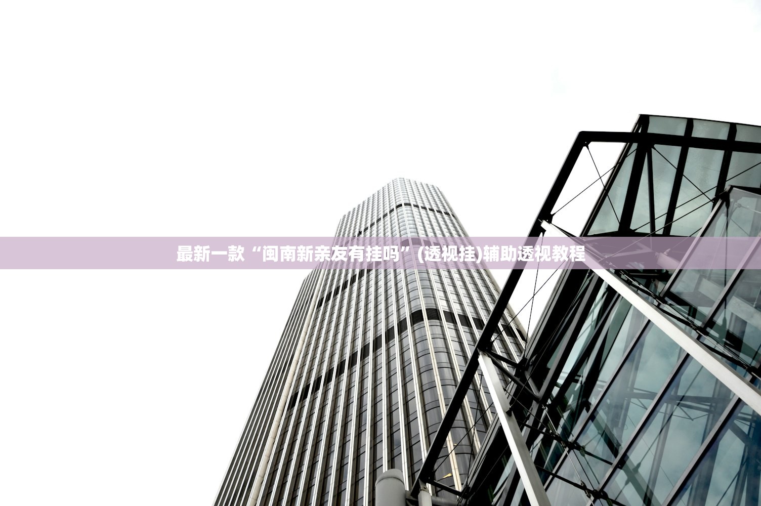 最新一款“闽南新亲友有挂吗”(透视挂)辅助透视教程