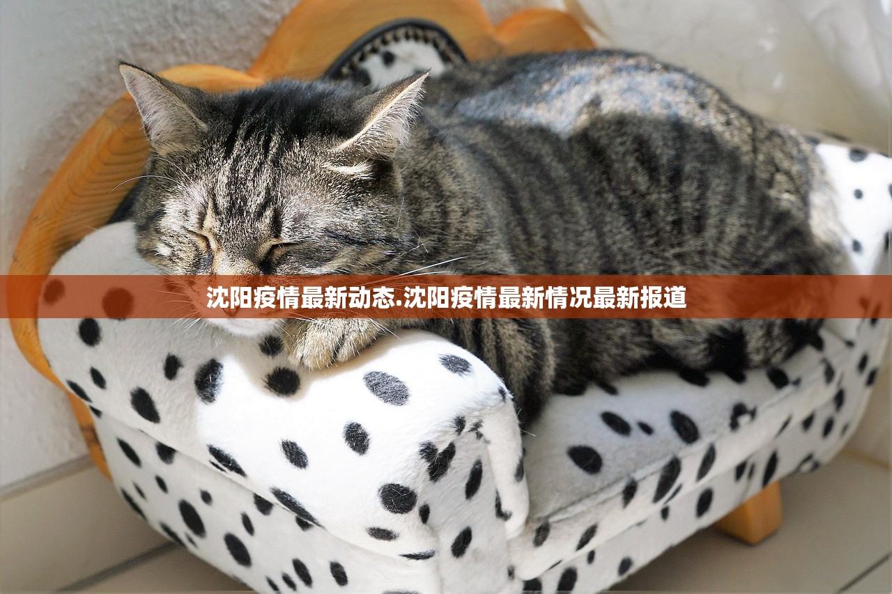 沈阳疫情最新动态.沈阳疫情最新情况最新报道 沈阳疫情最新动态.沈阳疫情最新情况最新报道