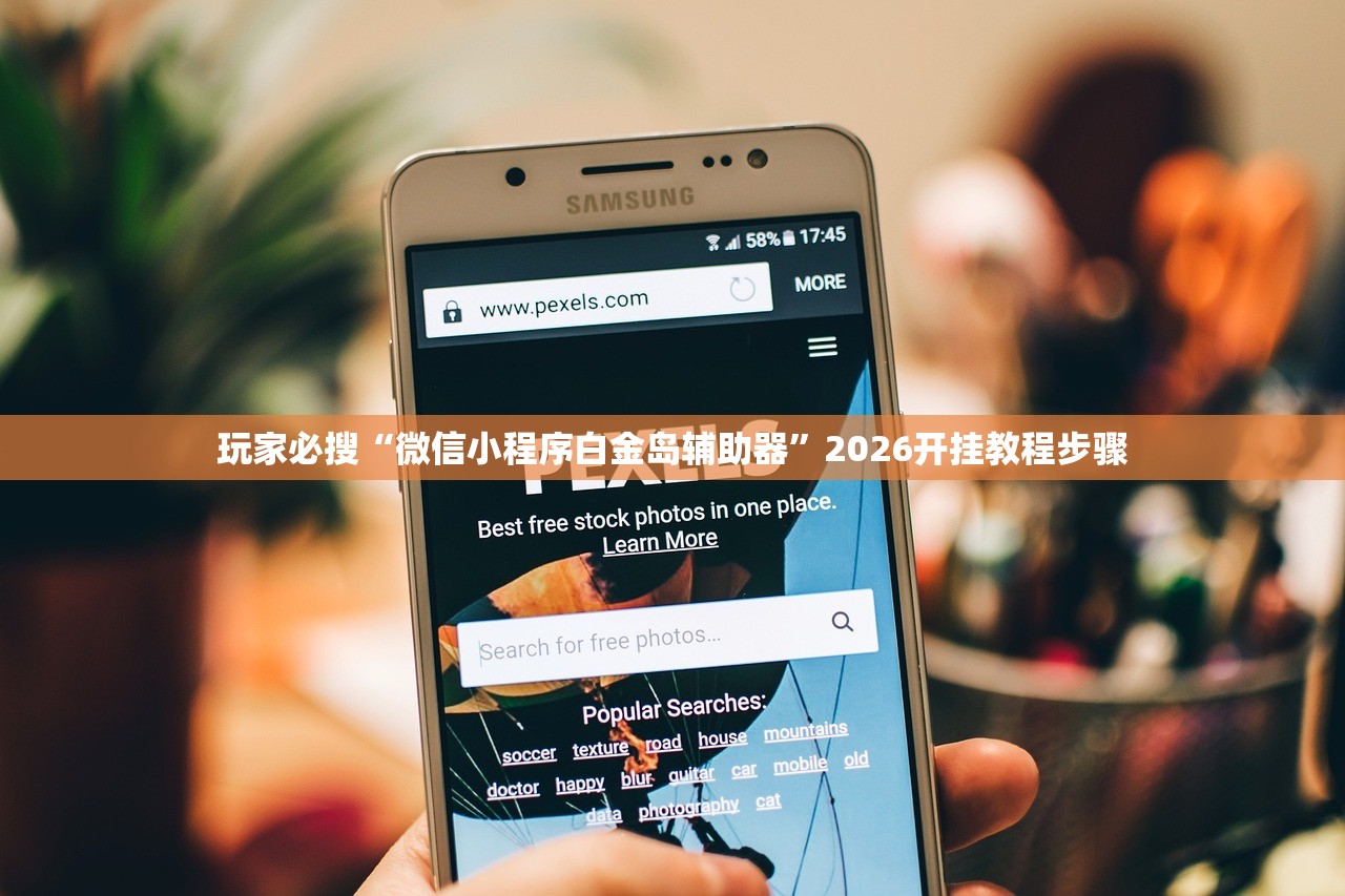 玩家必搜“微信小程序白金岛辅助器”2026开挂教程步骤