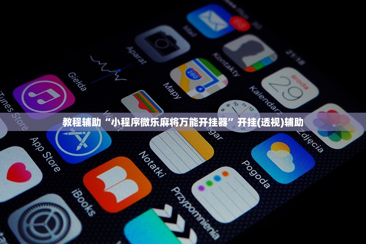 3分钟学会“微信微乐四川麻将外卦神器免费安装	”详细分享装挂