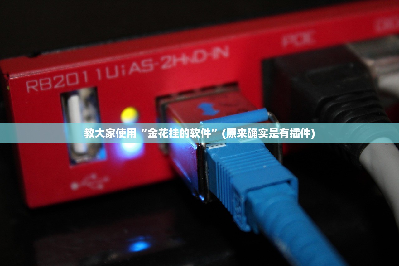 教大家使用“金花挂的软件	”(原来确实是有插件)