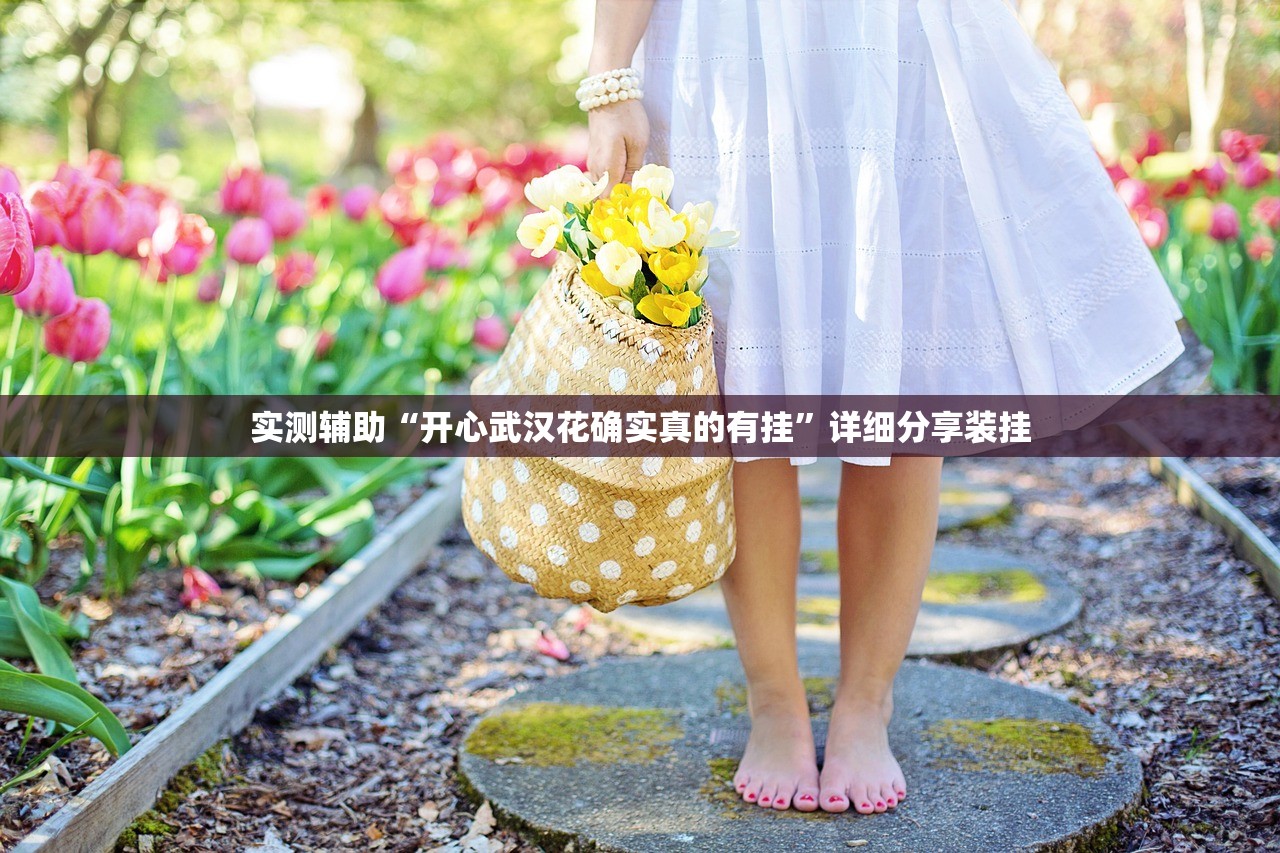 实测辅助“开心武汉花确实真的有挂”详细分享装挂