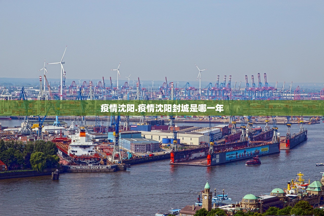 疫情沈阳.疫情沈阳封城是哪一年 疫情沈阳.疫情沈阳封城是哪一年