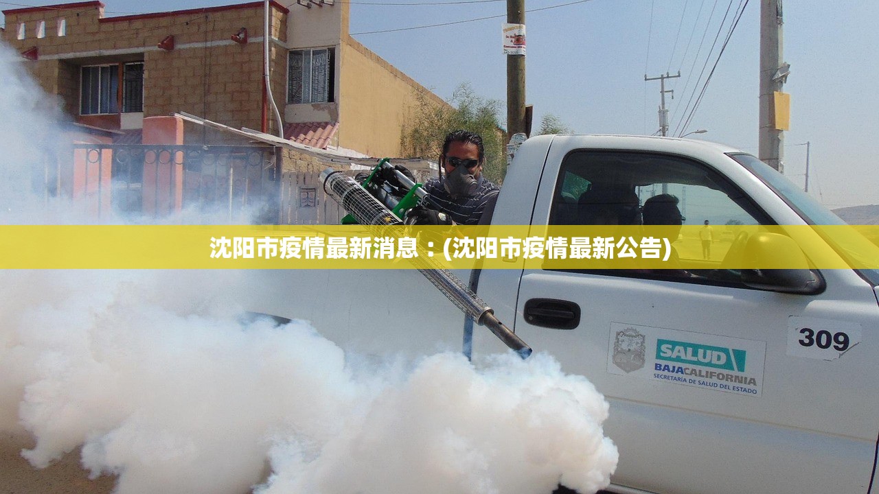 沈阳市疫情最新消息︰(沈阳市疫情最新公告) 沈阳市疫情最新消息︰(沈阳市疫情最新公告)