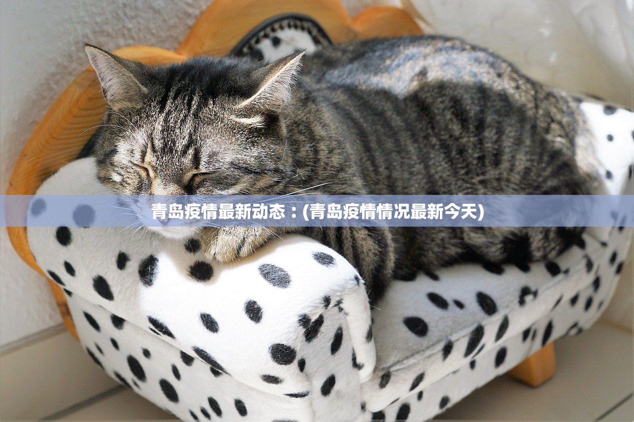 青岛疫情最新动态︰(青岛疫情情况最新今天)