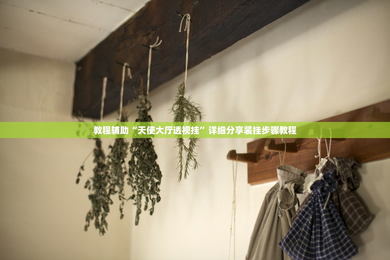 教程辅助“天使大厅透视挂”详细分享装挂步骤教程