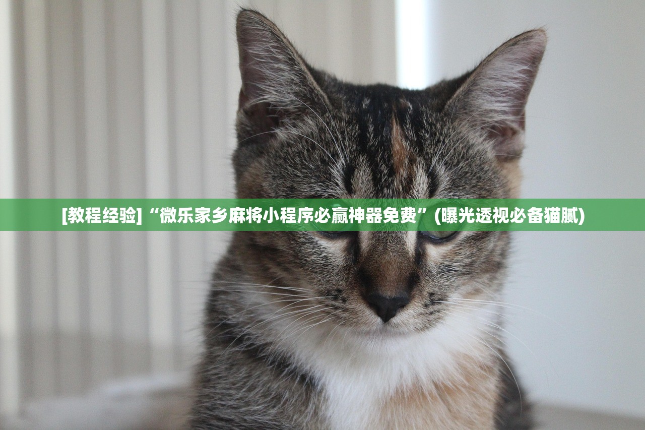 [教程经验]“微乐家乡麻将小程序必赢神器免费”(曝光透视必备猫腻)