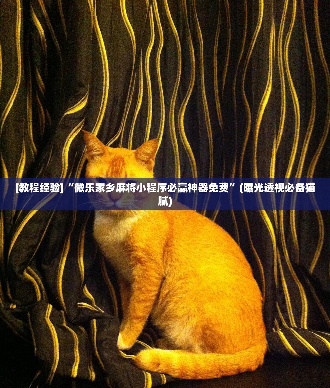 [教程经验]“微乐家乡麻将小程序必赢神器免费”(曝光透视必备猫腻)