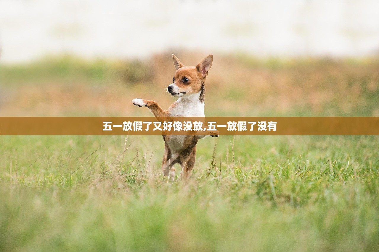 五一放假了又好像没放,五一放假了没有 五一放假了又好像没放,五一放假了没有