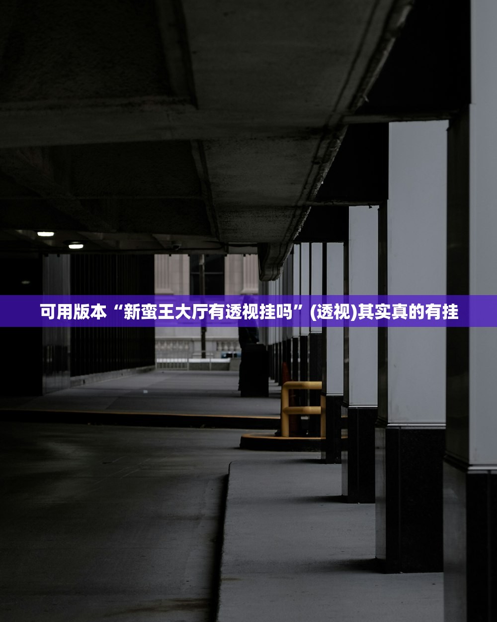 可用版本“新蛮王大厅有透视挂吗”(透视)其实真的有挂