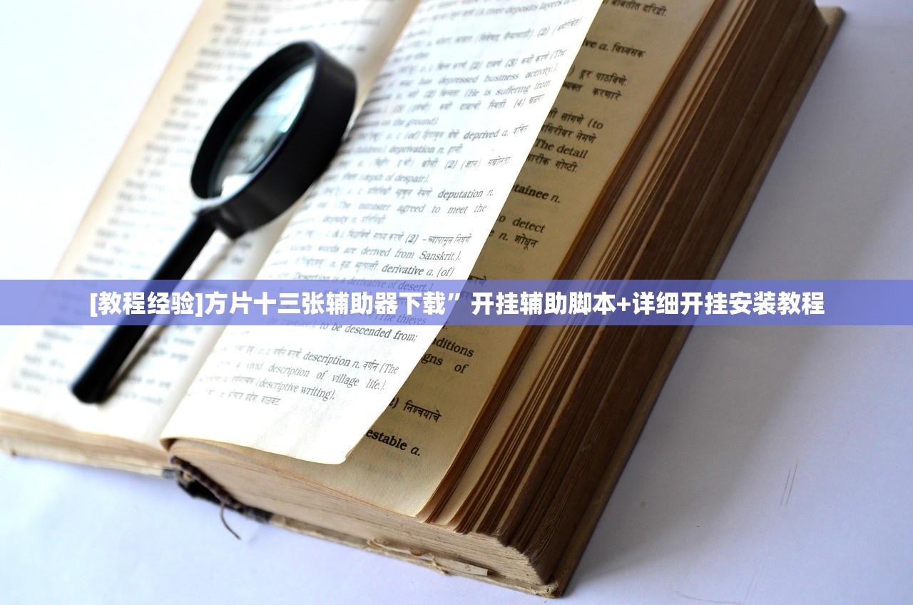 [教程经验]方片十三张辅助器下载	”开挂辅助脚本+详细开挂安装教程