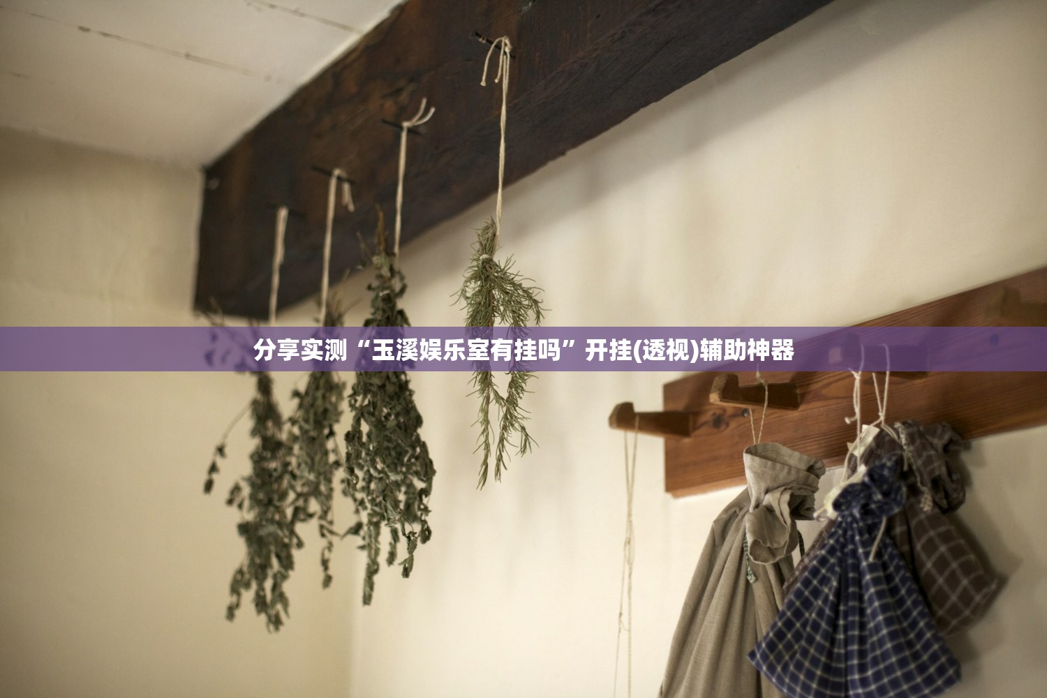 分享实测“玉溪娱乐室有挂吗”开挂(透视)辅助神器