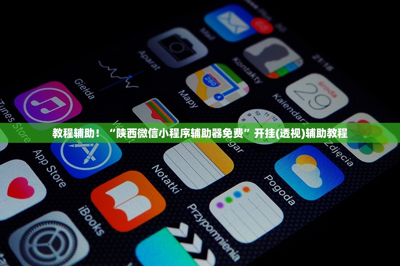 教程辅助！“陕西微信小程序辅助器免费”开挂(透视)辅助教程