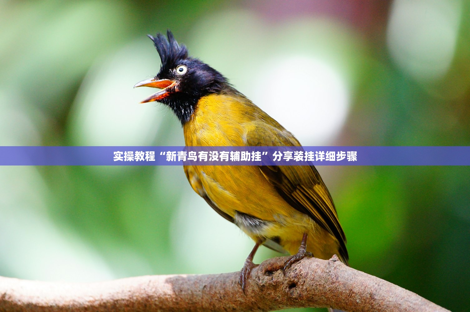 上海新增1例境外输入病例︰(上海新增1例境外输入病例多少)