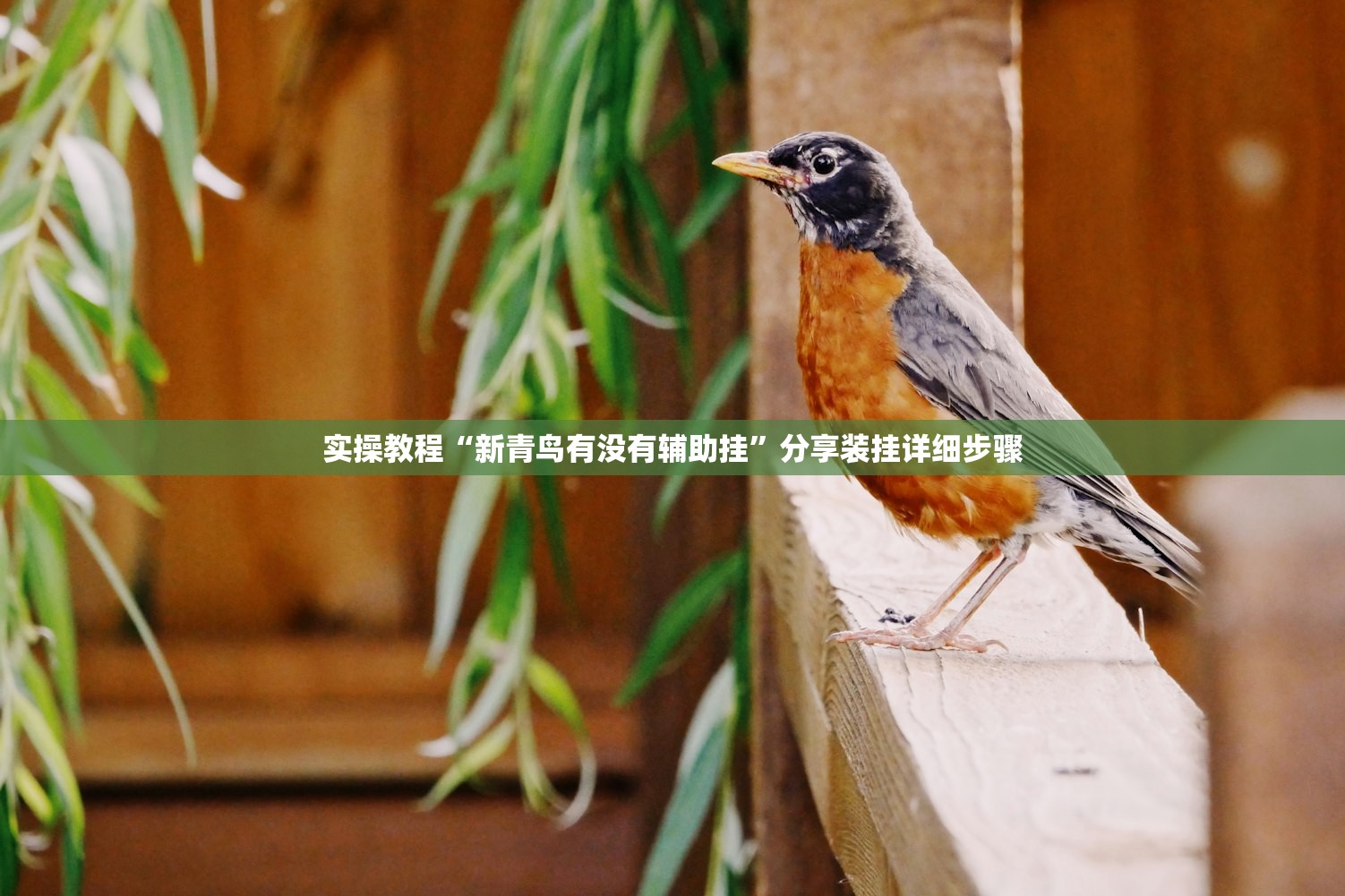 教程分享“闲逸斗地主有挂吗”开挂辅助脚本+详细开挂安装教程