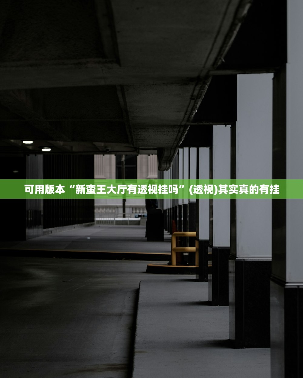 可用版本“新蛮王大厅有透视挂吗”(透视)其实真的有挂