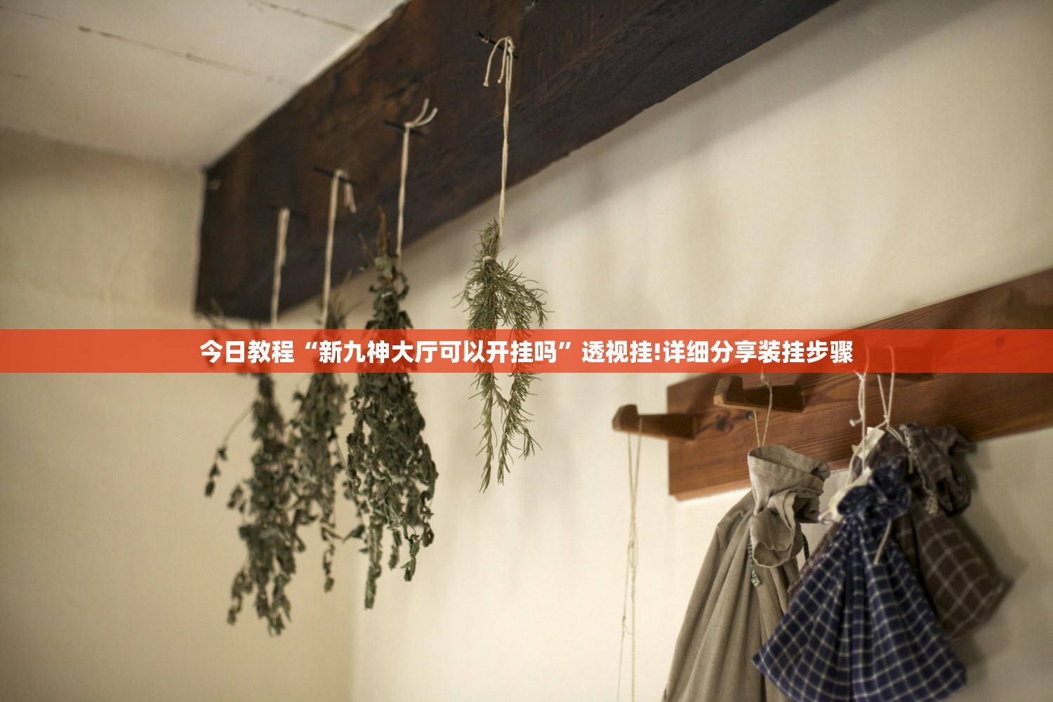 分享实测“微乐辅助器免费版v3.0下载？”详细分享装挂步骤教程