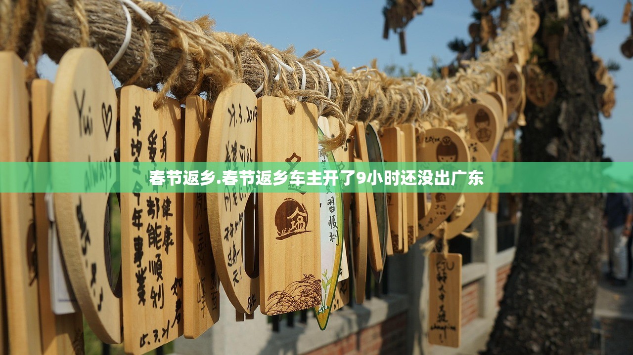 春节返乡.春节返乡车主开了9小时还没出广东