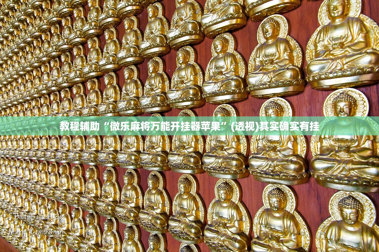 教程辅助“微乐麻将万能开挂器苹果”(透视)其实确实有挂