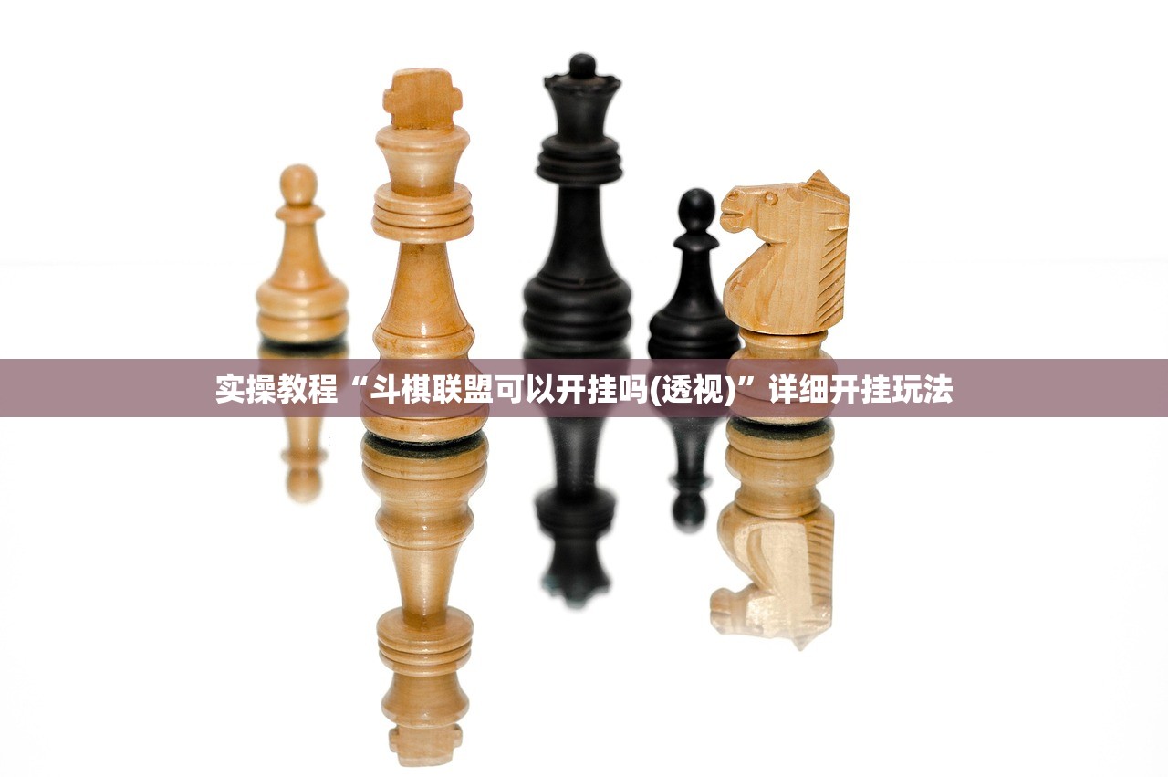 实操教程“斗棋联盟可以开挂吗(透视)”详细开挂玩法