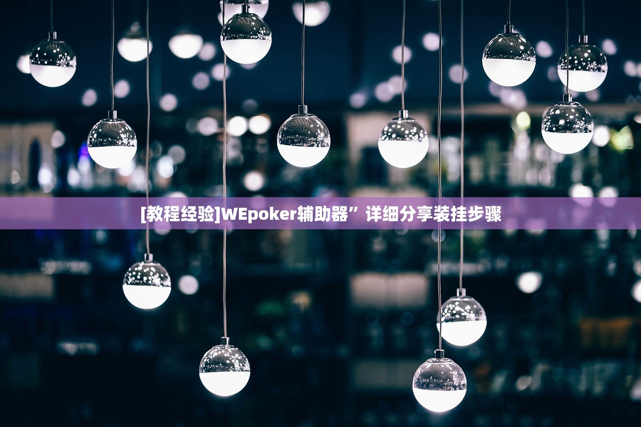 [教程经验]WEpoker辅助器”详细分享装挂步骤