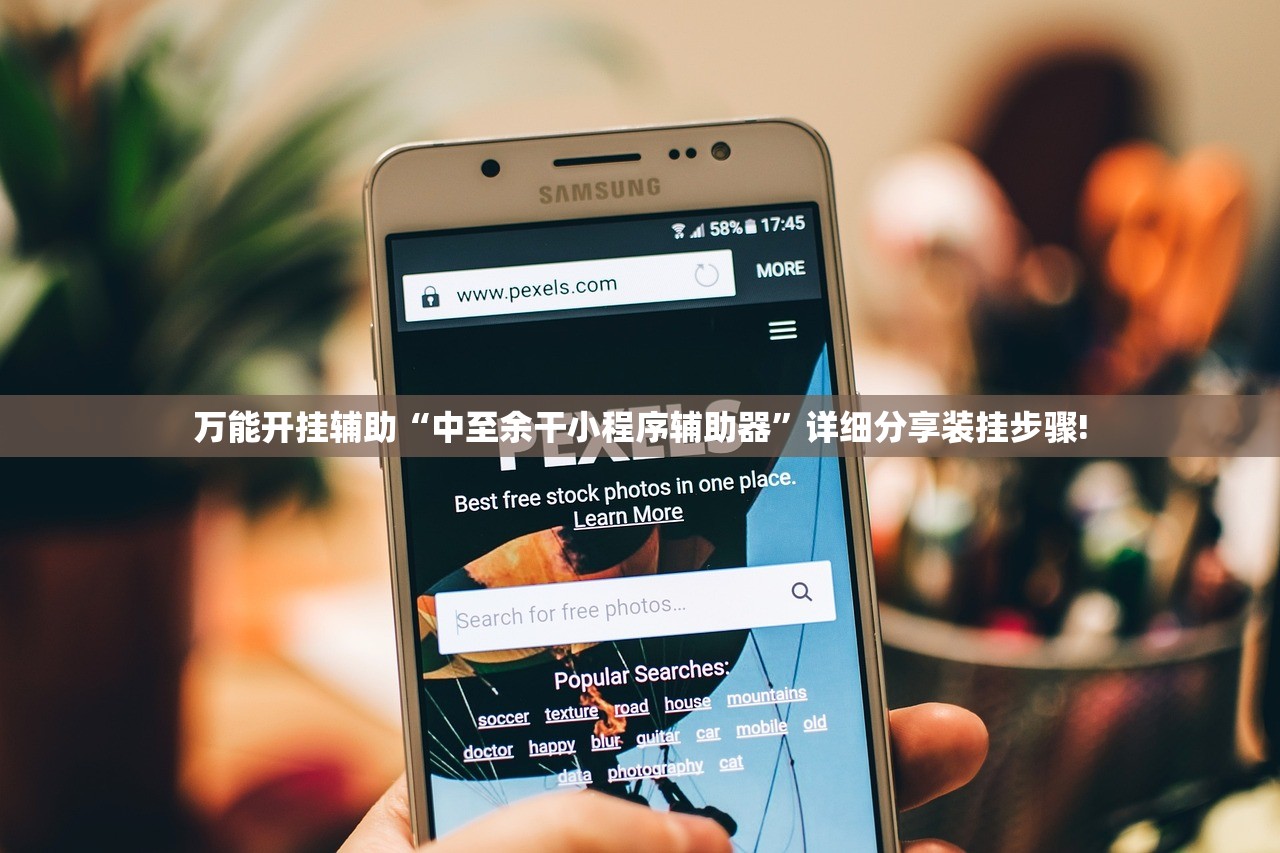 万能开挂辅助“中至余干小程序辅助器”详细分享装挂步骤!