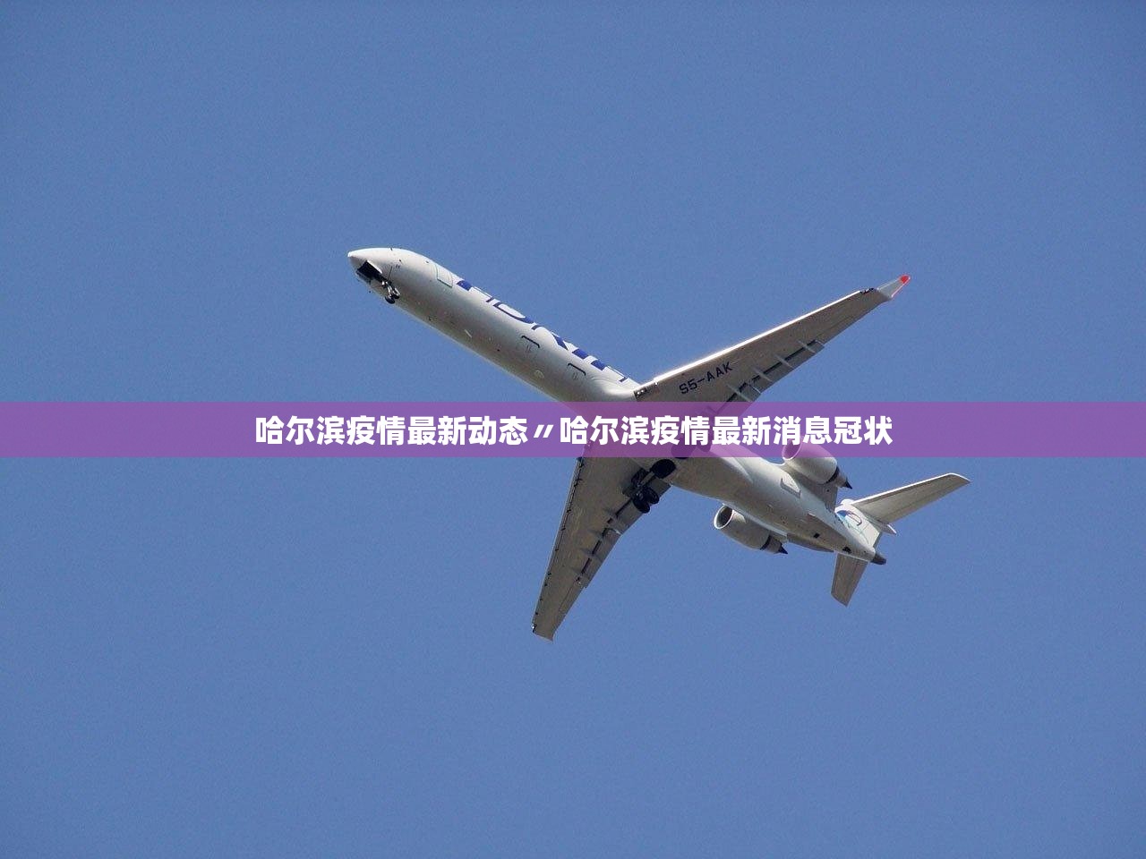 哈尔滨疫情最新动态〃哈尔滨疫情最新消息冠状 哈尔滨疫情最新动态〃哈尔滨疫情最新消息冠状
