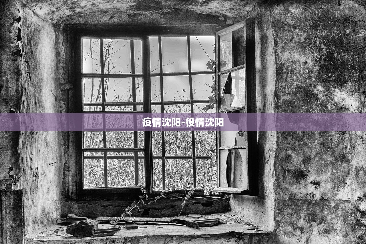疫情沈阳-役情沈阳