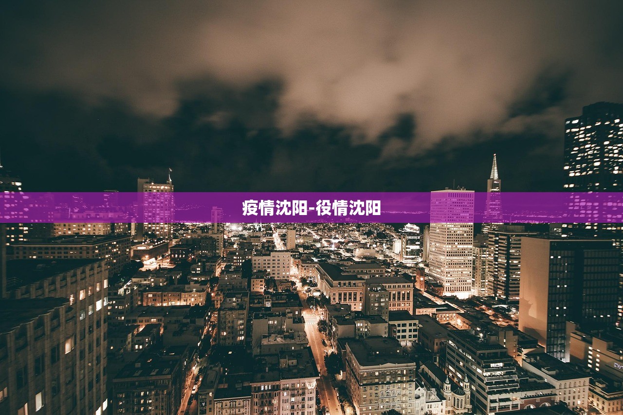 疫情沈阳-役情沈阳