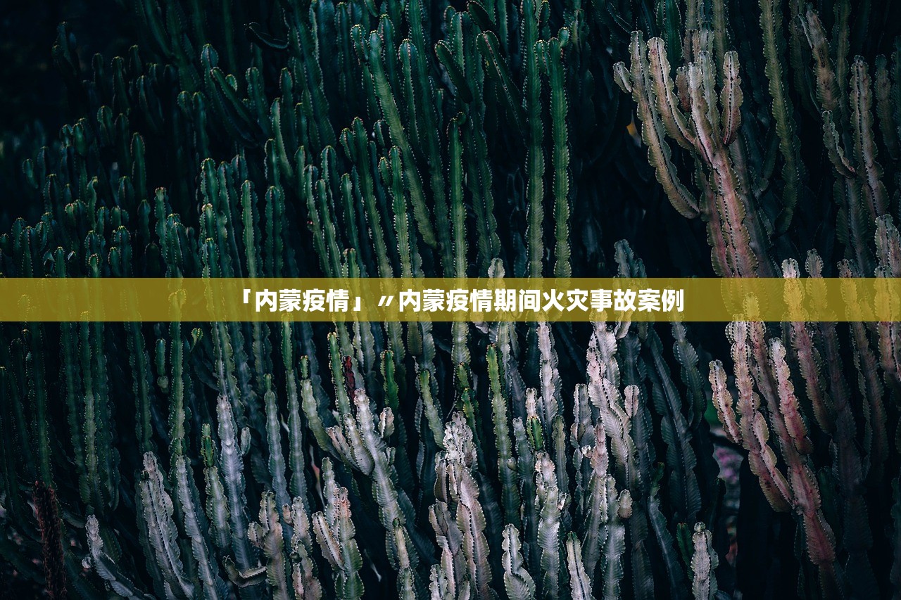 「内蒙疫情」〃内蒙疫情期间火灾事故案例 「内蒙疫情」〃内蒙疫情期间火灾事故案例