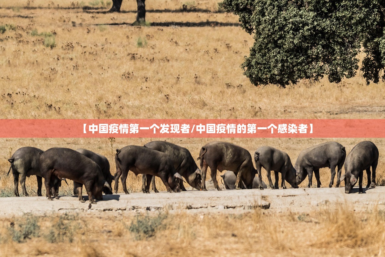 【中国疫情第一个发现者/中国疫情的第一个感染者】 【中国疫情第一个发现者/中国疫情的第一个感染者】