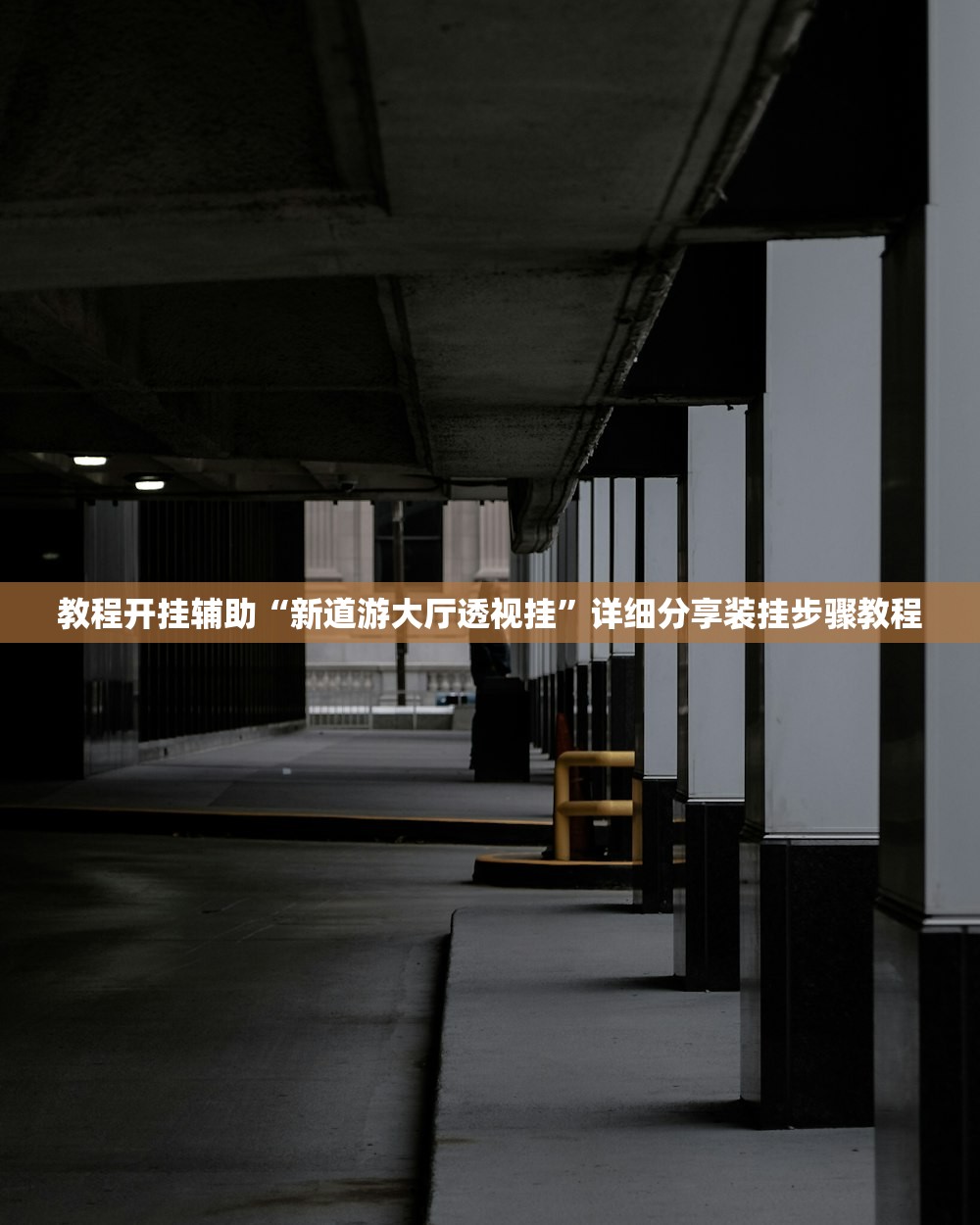 教程开挂辅助“新道游大厅透视挂”详细分享装挂步骤教程