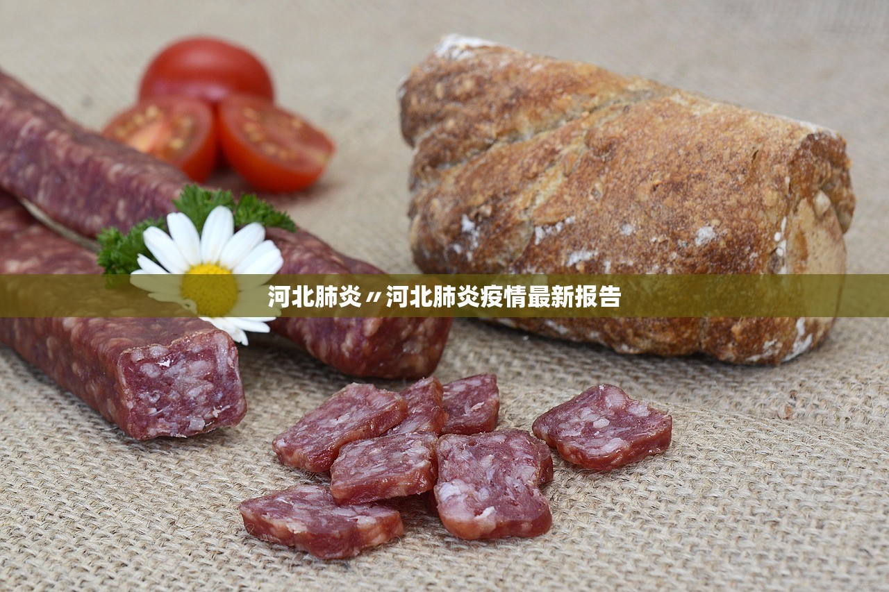 河北肺炎〃河北肺炎疫情最新报告 河北肺炎〃河北肺炎疫情最新报告